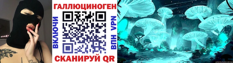 купить   Кадников  блэк спрут ТОР  Псилоцибиновые грибы мицелий 